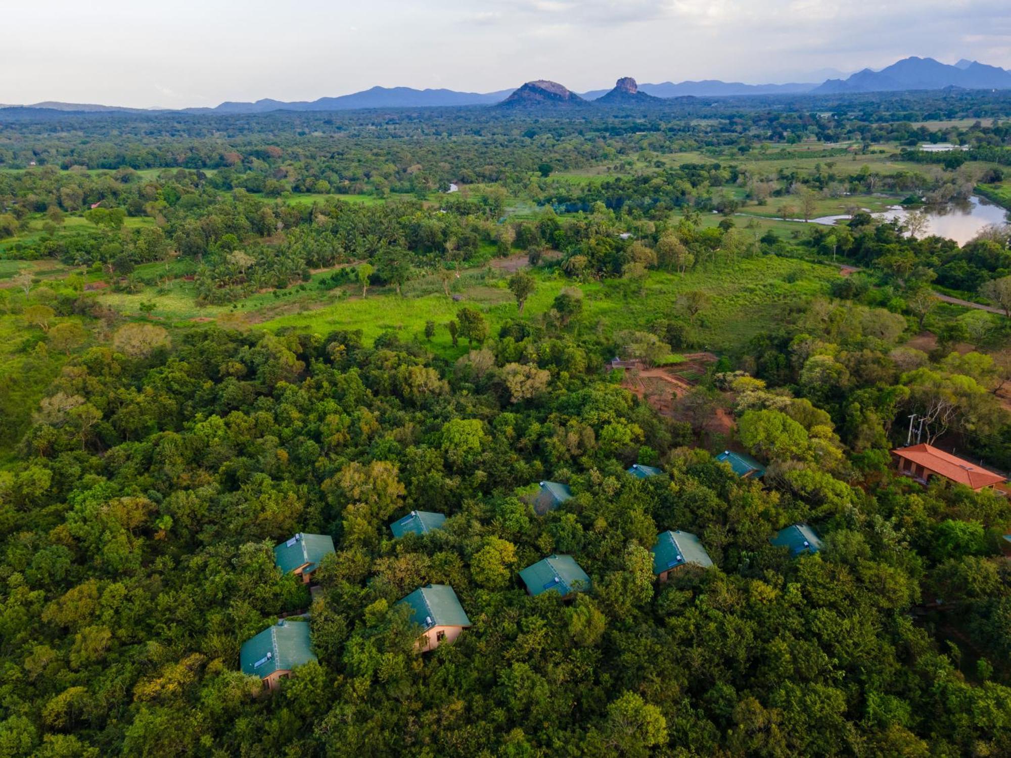 Sigiriya Forest Edge By Marino Leisure Exterior foto